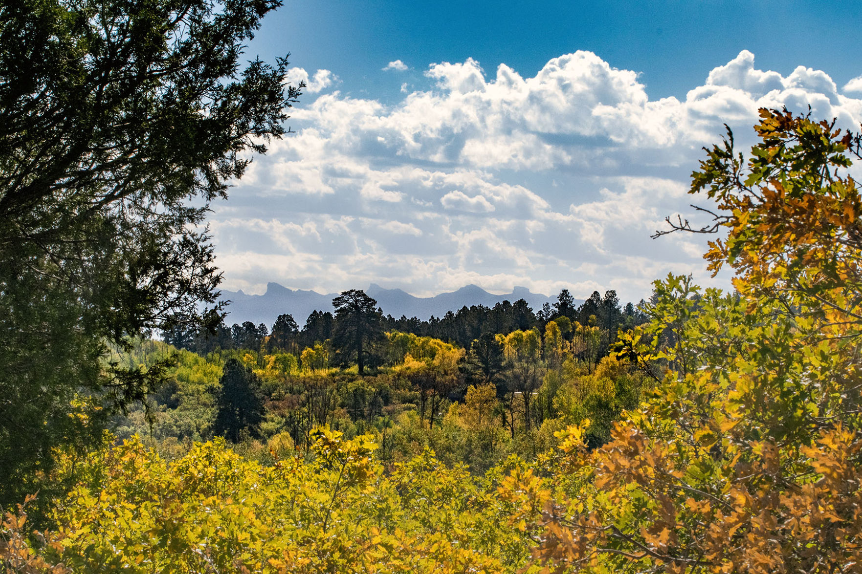 View of the fall colors